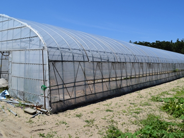 ビニールハウス